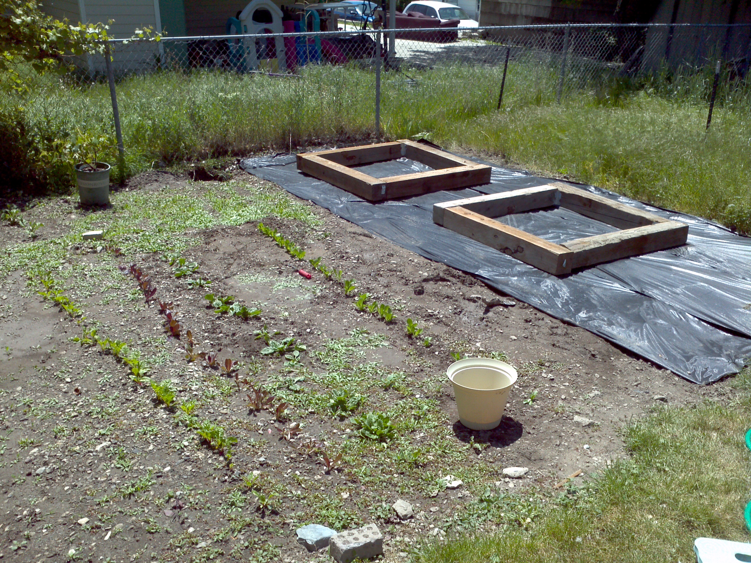 Box Garden